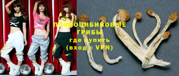 прущая мука Вязники